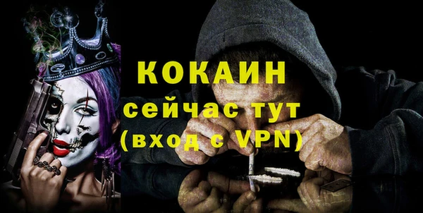 ешки Саяногорск