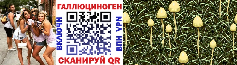 Псилоцибиновые грибы мицелий Фролово
